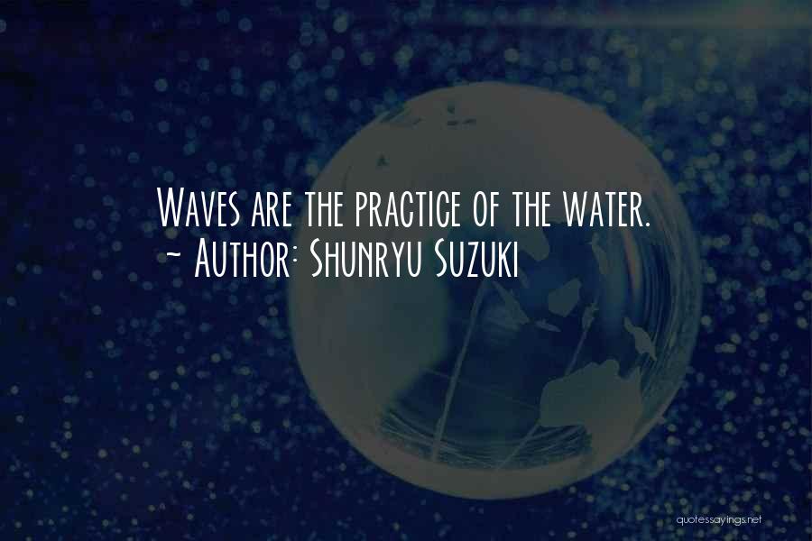 Suzuki Quotes By Shunryu Suzuki