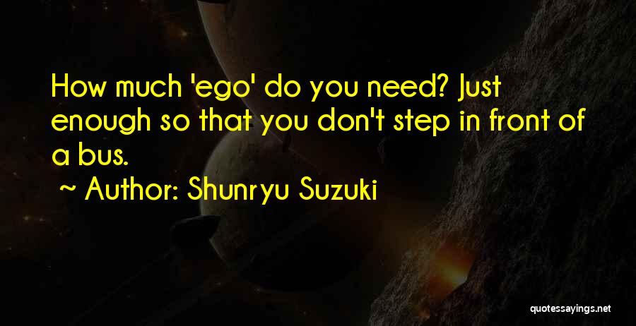 Suzuki Shunryu Quotes By Shunryu Suzuki