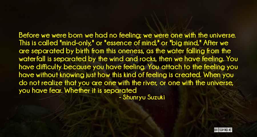 Suzuki Zen Quotes By Shunryu Suzuki Suzuki Zen Quotes By Shunryu Suzuki