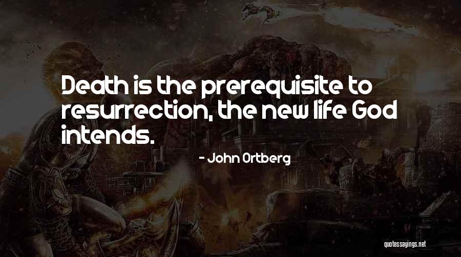Suzuna Maid Quotes By John Ortberg Suzuna Maid Quotes By John Ortberg