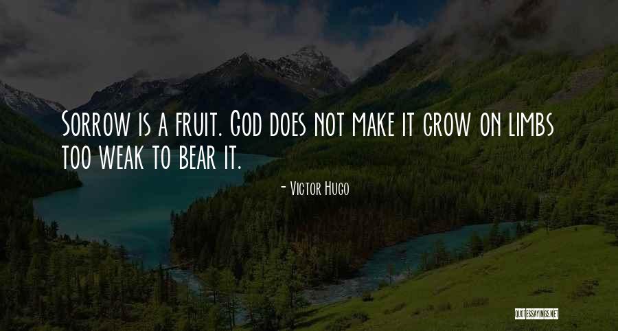 Suzuran Quotes By Victor Hugo Suzuran Quotes By Victor Hugo
