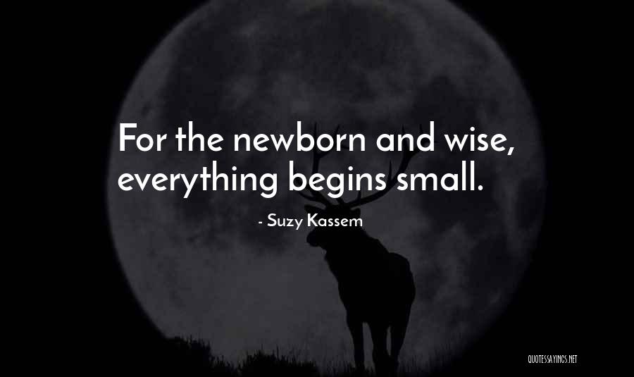 Suzy Kassem Quotes 1892087