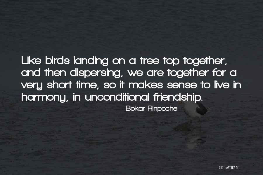Sv40 Quotes By Bokar Rinpoche Sv40 Quotes By Bokar Rinpoche