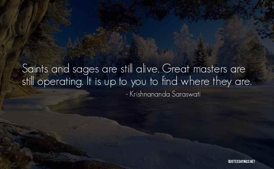 Svanesoe Quotes By Krishnananda Saraswati Svanesoe Quotes By Krishnananda Saraswati