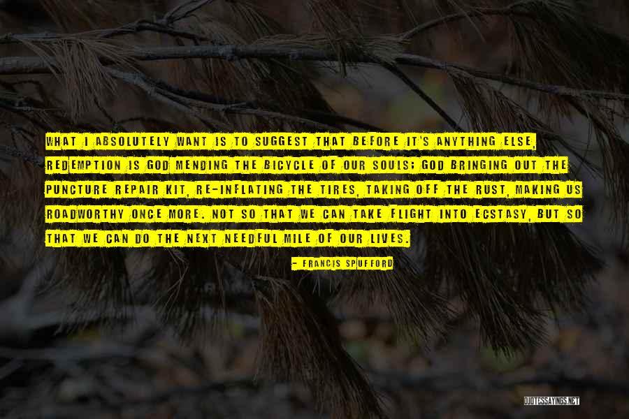 Svdms Quotes By Francis Spufford Svdms Quotes By Francis Spufford