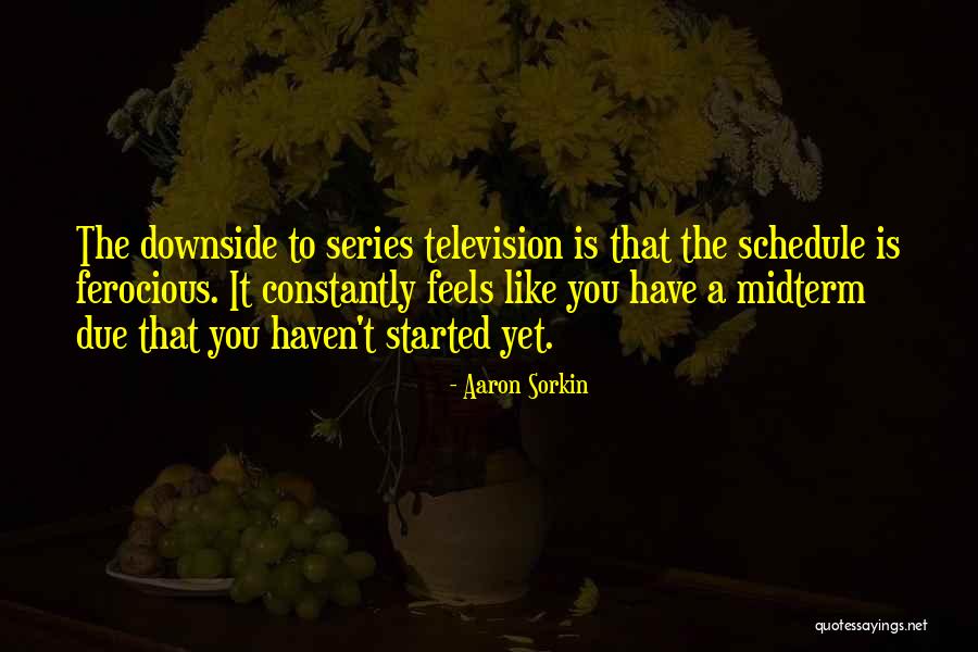 Sveinung Bjelland Quotes By Aaron Sorkin