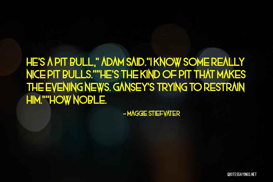 Svenssons Quotes By Maggie Stiefvater Svenssons Quotes By Maggie Stiefvater