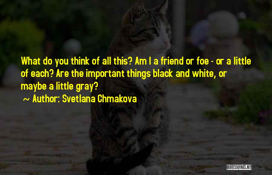 Svetlana Chmakova Quotes 1217989