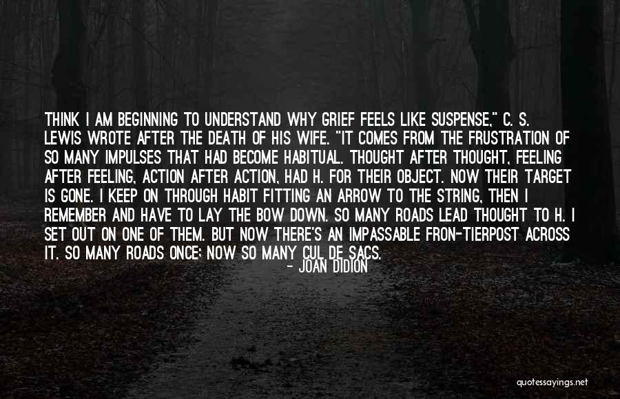 Sveva Cardinale Quotes By Joan Didion Sveva Cardinale Quotes By Joan Didion