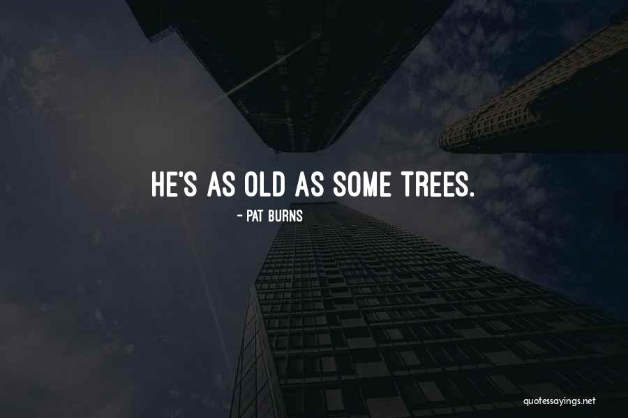 Svevo Zeno Quotes By Pat Burns Svevo Zeno Quotes By Pat Burns