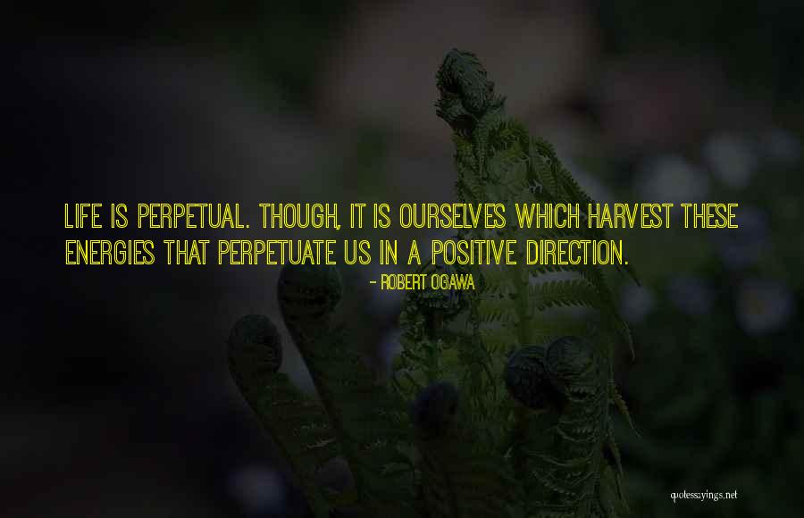 Svilena Quotes By Robert Ogawa Svilena Quotes By Robert Ogawa