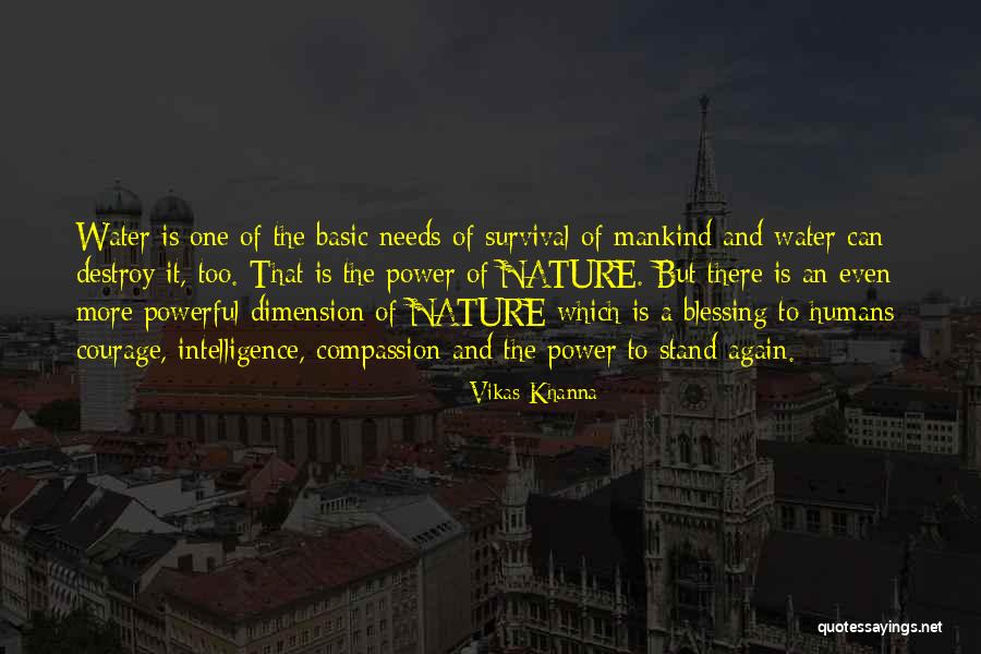 Sviridov Snowstorm Quotes By Vikas Khanna Sviridov Snowstorm Quotes By Vikas Khanna