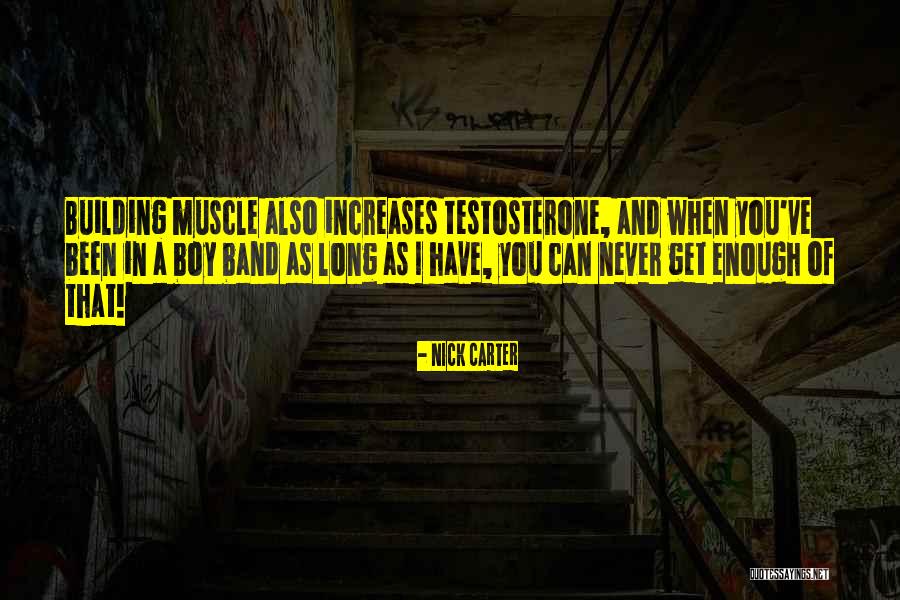 Svjetlo Quotes By Nick Carter Svjetlo Quotes By Nick Carter