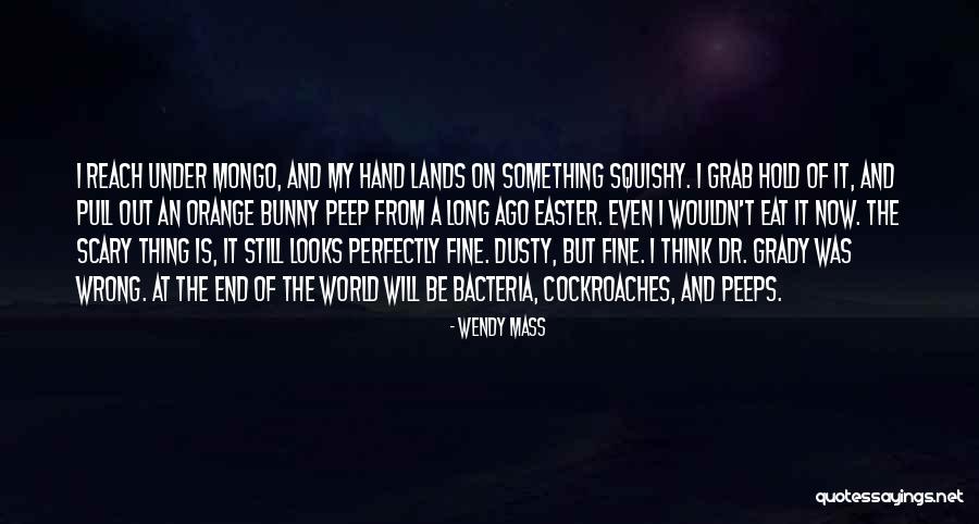 Svjetlovod Quotes By Wendy Mass Svjetlovod Quotes By Wendy Mass