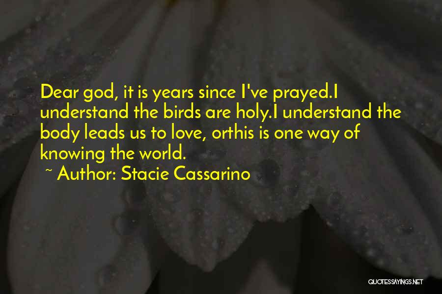 Svojstva Stakla Quotes By Stacie Cassarino