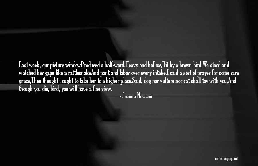 Sw1 Locomotive Quotes By Joanna Newsom Sw1 Locomotive Quotes By Joanna Newsom