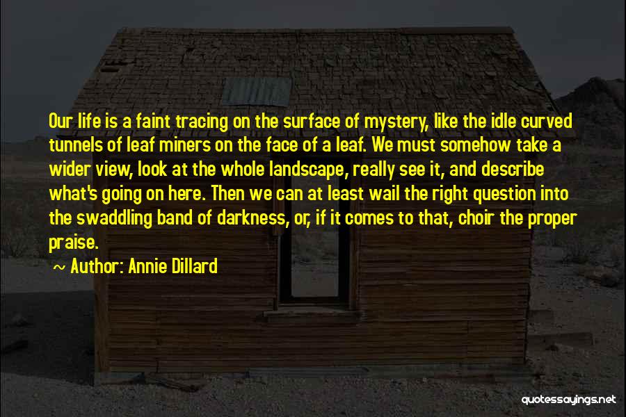 Swaddling Quotes By Annie Dillard