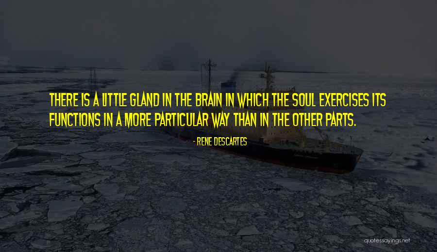 Swahn Food Quotes By Rene Descartes Swahn Food Quotes By Rene Descartes