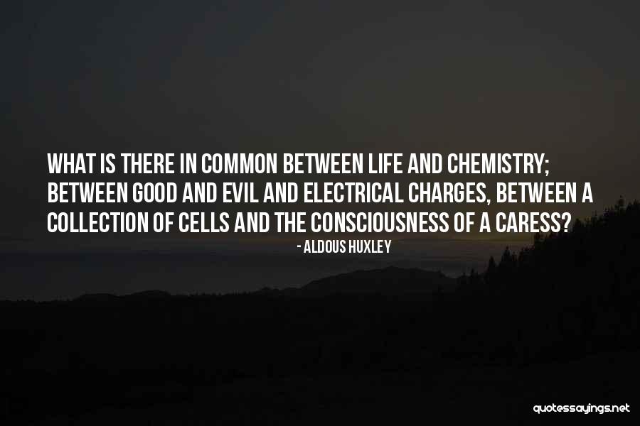 Swai Fish Quotes By Aldous Huxley Swai Fish Quotes By Aldous Huxley
