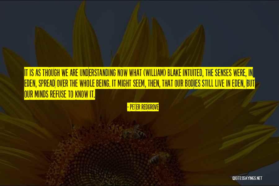 Swailes And Company Quotes By Peter Redgrove Swailes And Company Quotes By Peter Redgrove