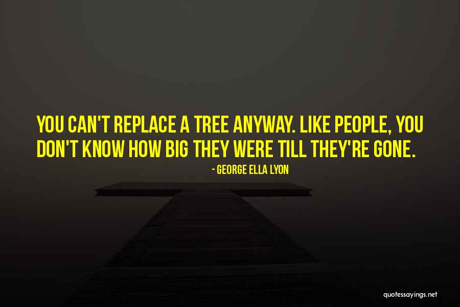 Swainsona Quotes By George Ella Lyon Swainsona Quotes By George Ella Lyon