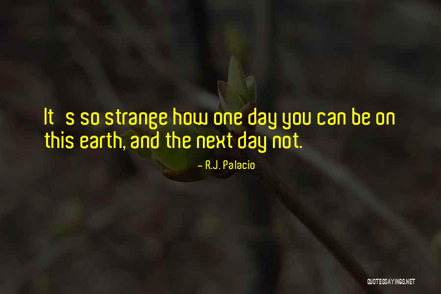 Swaller Quotes By R.J. Palacio Swaller Quotes By R.J. Palacio