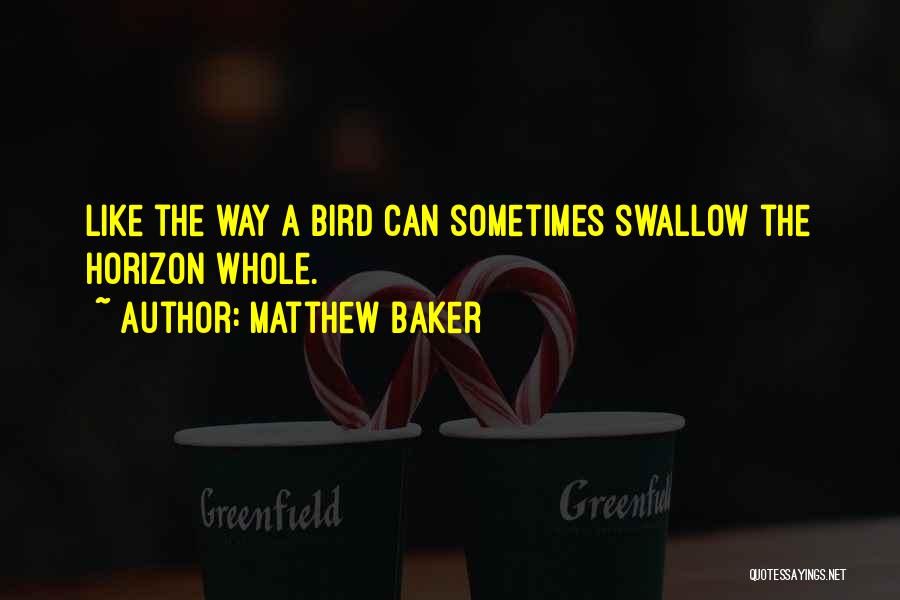 Swallow Bird Quotes By Matthew Baker