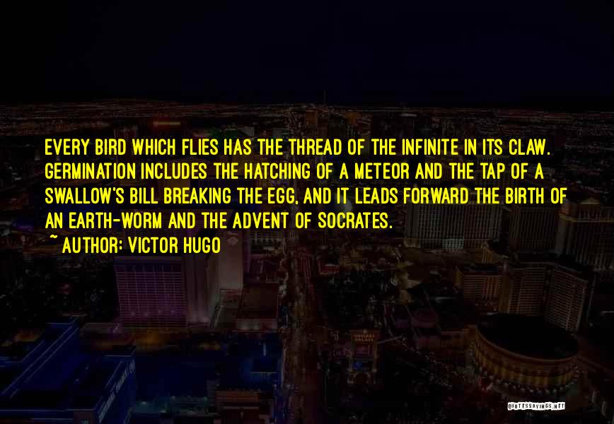 Swallow Bird Quotes By Victor Hugo