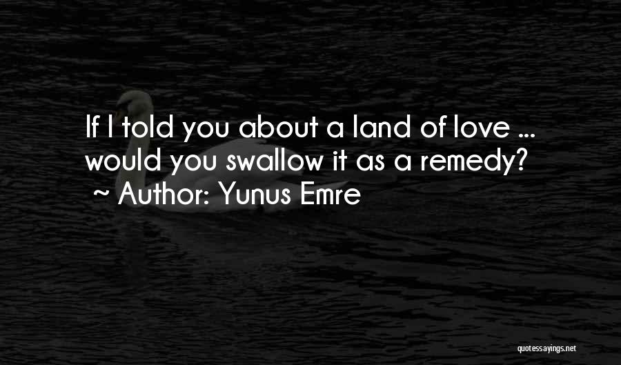 Swallow Love Quotes By Yunus Emre