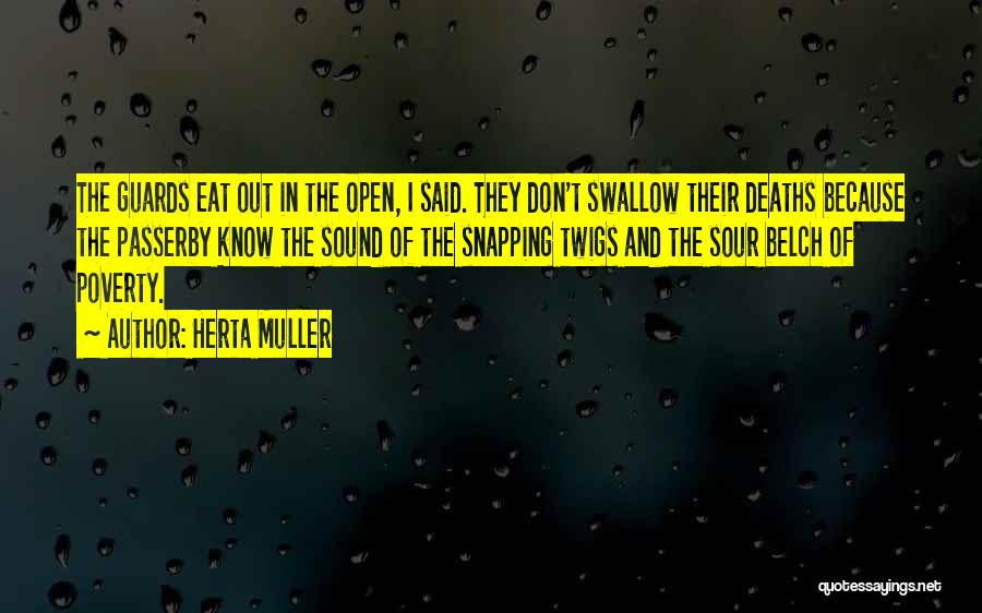 Swallow Quotes By Herta Muller