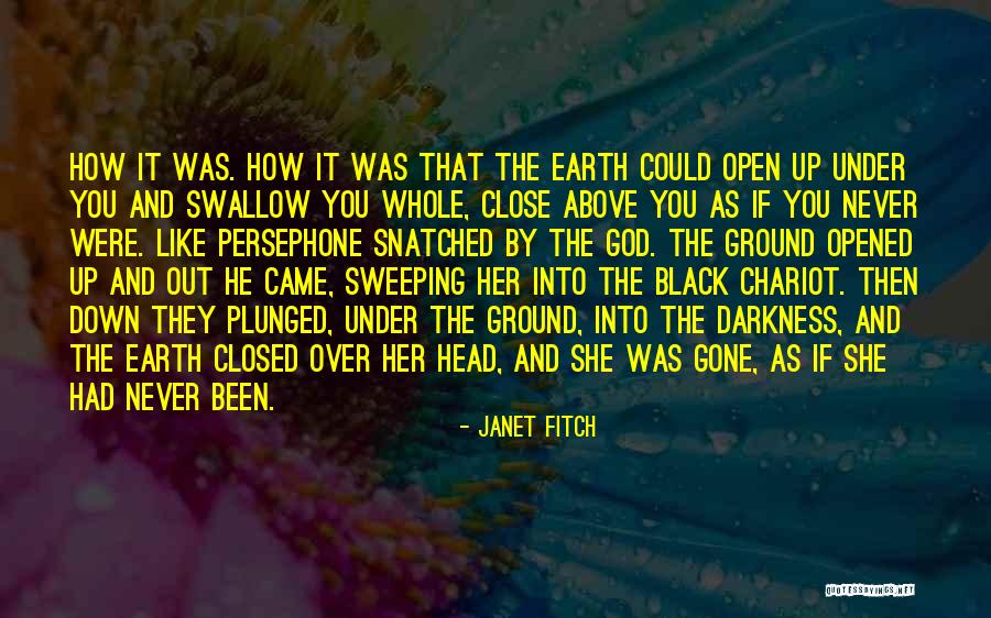 Swallow You Whole Quotes By Janet Fitch Swallow You Whole Quotes By Janet Fitch