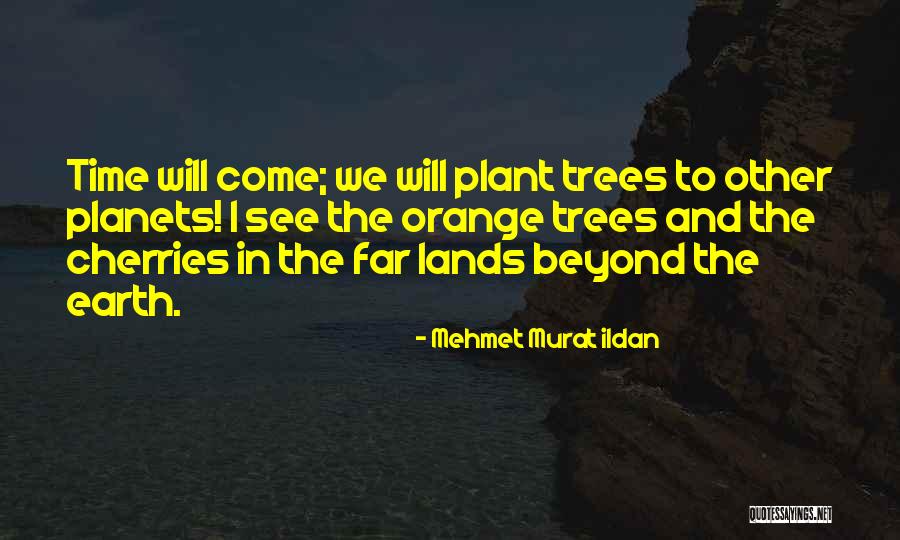 Swammerdam Possession Quotes By Mehmet Murat Ildan Swammerdam Possession Quotes By Mehmet Murat Ildan
