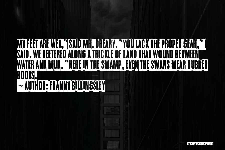 Swamp Land Quotes By Franny Billingsley