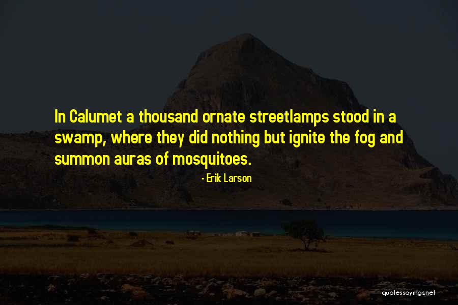 Swamp Thing Quotes By Erik Larson Swamp Thing Quotes By Erik Larson