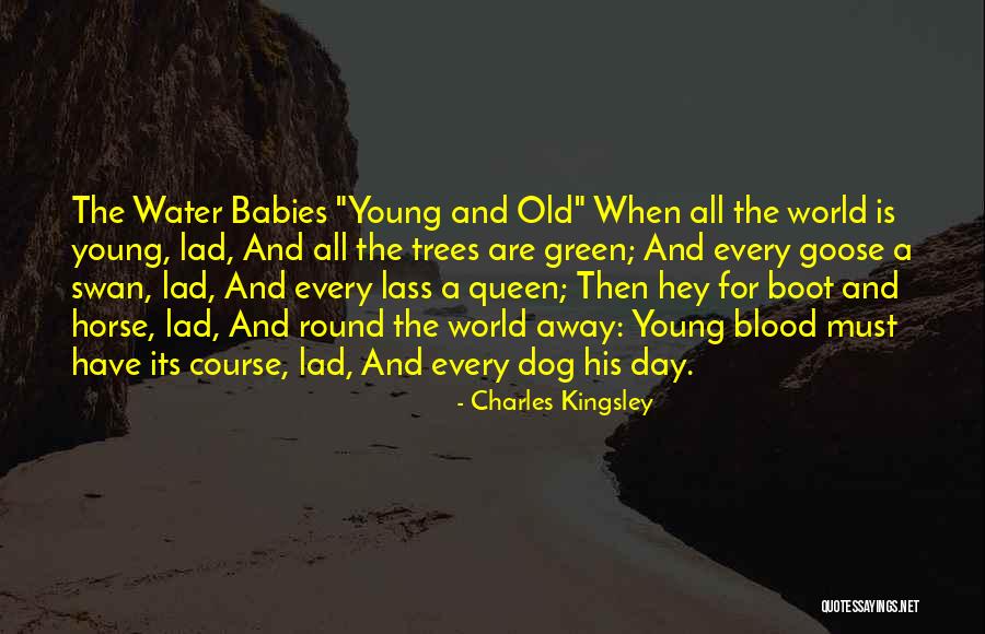 Swan Queen Quotes By Charles Kingsley