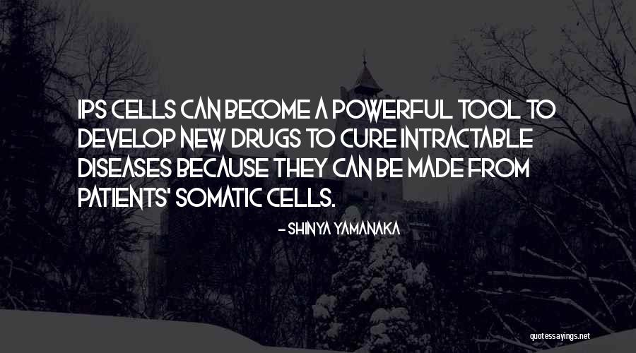 Swanika Yacht Quotes By Shinya Yamanaka Swanika Yacht Quotes By Shinya Yamanaka