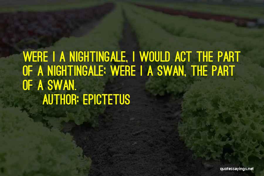 Swans Quotes By Epictetus