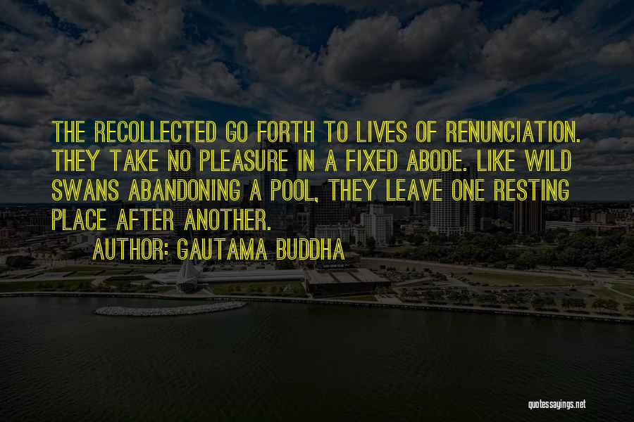 Swans Quotes By Gautama Buddha
