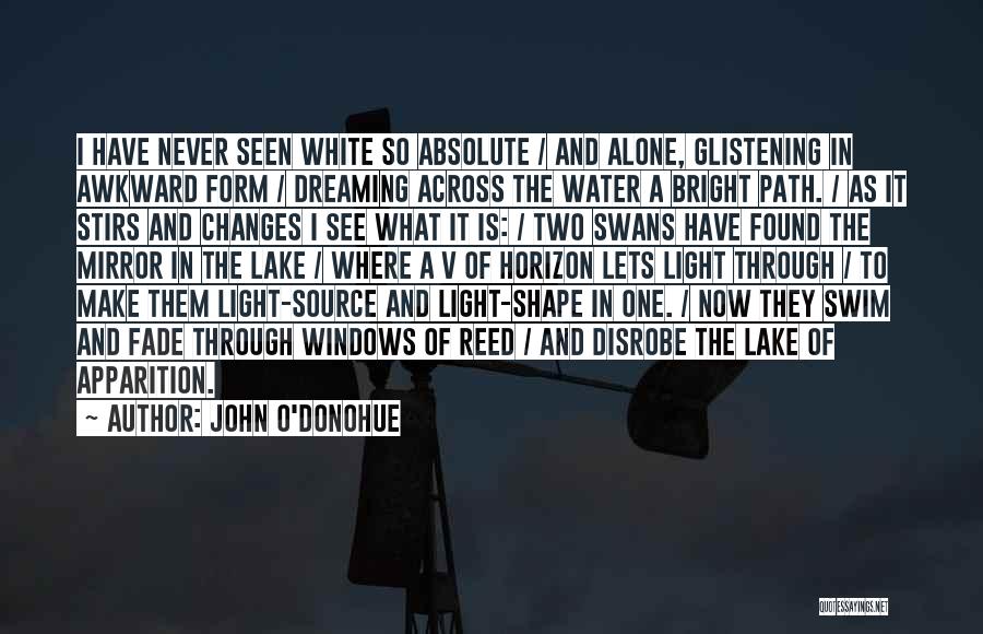 Swans Quotes By John O'Donohue