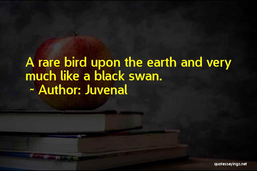 Swans Quotes By Juvenal