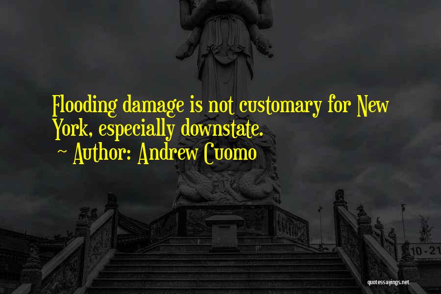 Swantek Body Quotes By Andrew Cuomo