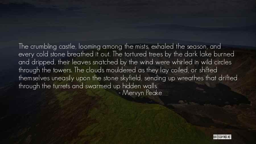 Swarmed Quotes By Mervyn Peake Swarmed Quotes By Mervyn Peake