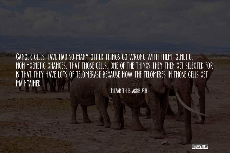 Swashbuckling Academy Quotes By Elizabeth Blackburn Swashbuckling Academy Quotes By Elizabeth Blackburn