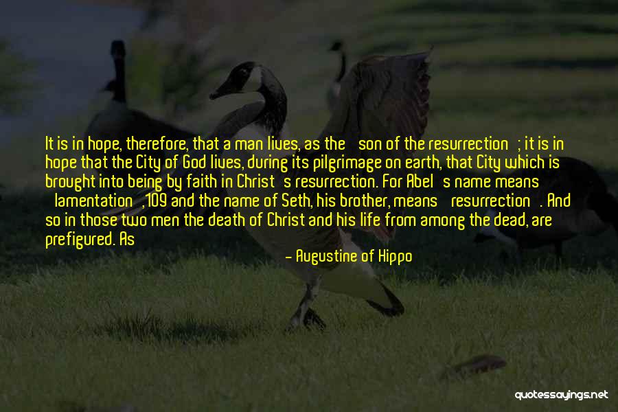 Swatting Prank Quotes By Augustine Of Hippo Swatting Prank Quotes By Augustine Of Hippo