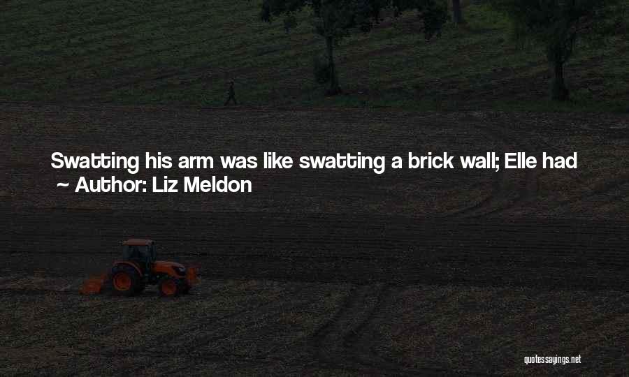 Swatting Quotes By Liz Meldon