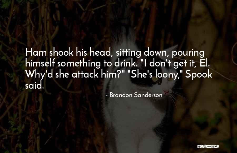 Swayback Adjustment Quotes By Brandon Sanderson Swayback Adjustment Quotes By Brandon Sanderson