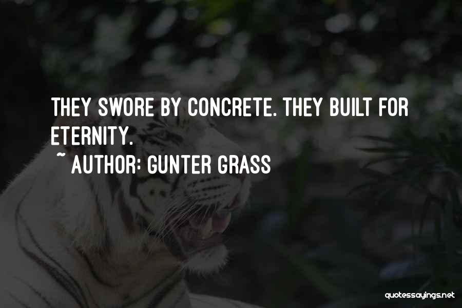 Swear Quotes By Gunter Grass
