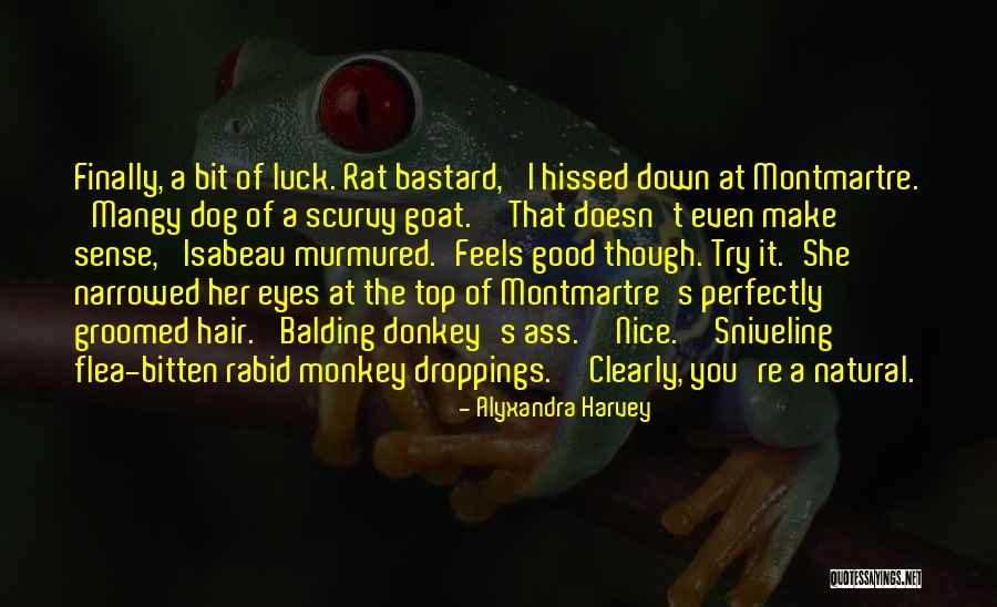 Swearing Quotes By Alyxandra Harvey Swearing Quotes By Alyxandra Harvey