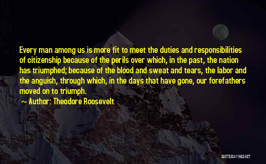 Sweat And Tears Quotes By Theodore Roosevelt