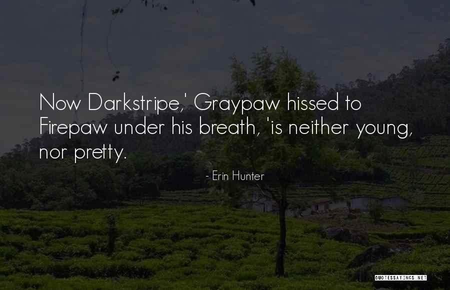 Sweatered Quotes By Erin Hunter Sweatered Quotes By Erin Hunter